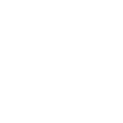 In-House Team